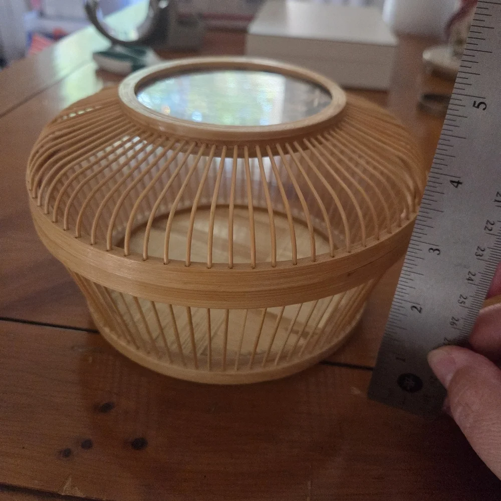 Vintage Bamboo Lucky Cricket Cage Woven Starburst Pattern Protected With Glass